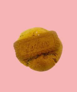 Biscoff 1 (1)